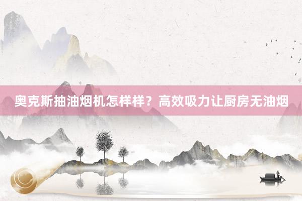 奥克斯抽油烟机怎样样？高效吸力让厨房无油烟