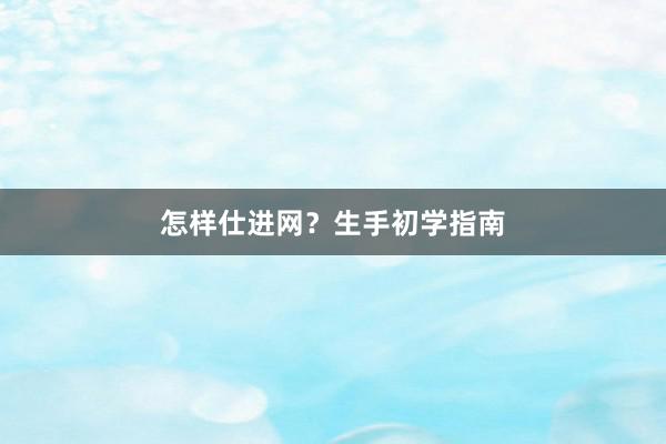 怎样仕进网？生手初学指南