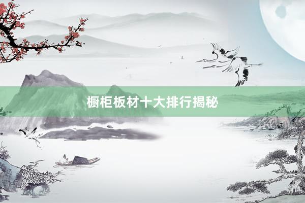 橱柜板材十大排行揭秘