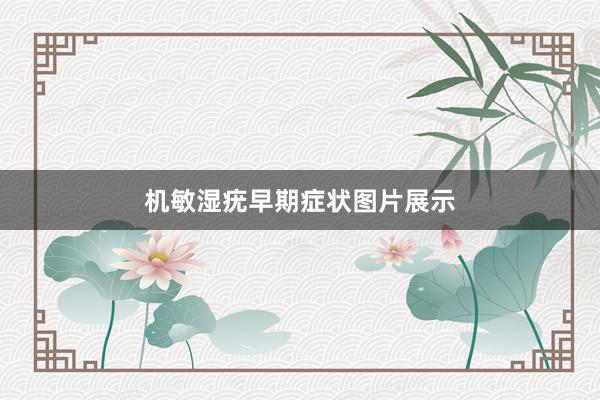 机敏湿疣早期症状图片展示